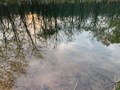-云岗森林公园