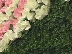 -大塘金香草谷