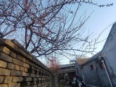 -三里河公园