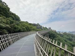 -福道