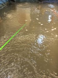 -巡鱼道·室内垂钓·渔具店