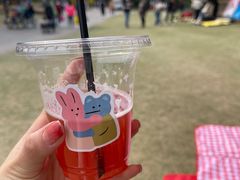 -上海滨江森林公园