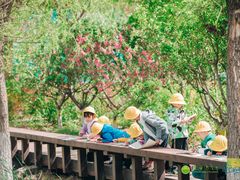 -绿橙国际幼儿园(汤泉逸墅校区)
