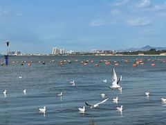 -老虎石海上公园
