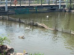 -梅林春晓花园餐厅