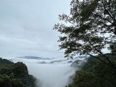 -广州市石门国家森林公园