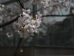 -静安雕塑公园