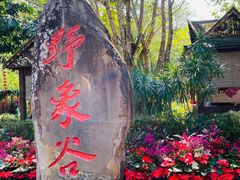 -野象谷景区