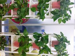 -牛学教育雅思托福PTE·小语种培训(小寨校区)