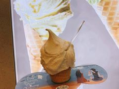 -野人先生现做冰淇淋(西安赛格店)