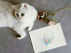 -信马画室 成人零基础到个人创作画室(亚运村店)