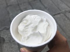 椰子雪糕-洪馨椰子