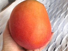 太阳芒果-上海龙吴水胜海发市场