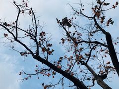 -静之湖湖畔餐厅