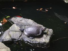 -谷咖啡·鲜花绿植花园餐厅