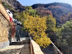 -圣莲山风景区