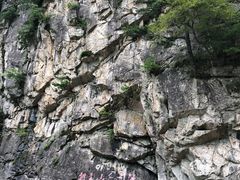 -青峰峡国家森林公园