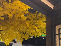 -江南韵·无锡太湖文化体验餐厅(凤凰天街店)