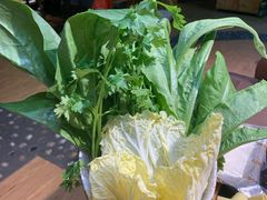 青菜组合-顶顶汤火牛排火锅·经典铜锅涮肉