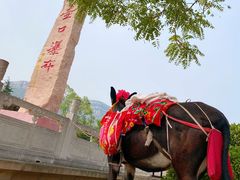 -黄河壶口瀑布风景名胜区-停车场