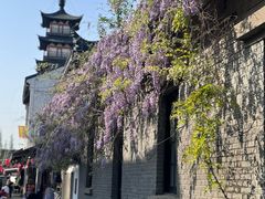 -星巴克臻选(嘉定疁城国际店)