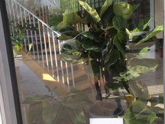 -隹木咖啡馆(宝龙广场店)