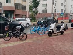 -妈妈手(山大总店)