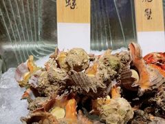 -盛宴自助餐厅(运达喜来登店)