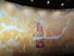 -金逸影城(中山远洋城IMAX店)