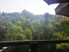 -龙井壹号·茶缘山景宴(龙井村店)