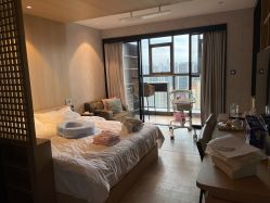 -禧月荟S月子中心(侨城店)