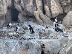 -上海野生动物园