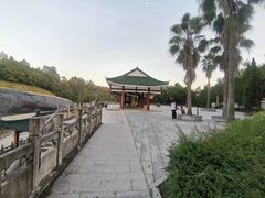 -三水森林公园