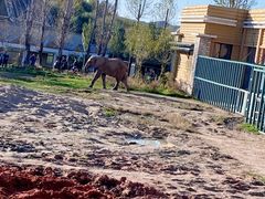 -哈尔滨北方森林动物园