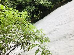 -丽江虎跳峡景区-售票处