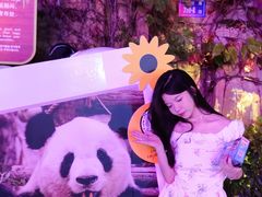 -灵玲国际马戏城