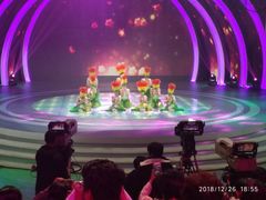 -广东电视台演播厅