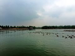 -泰安地下龙宫景区