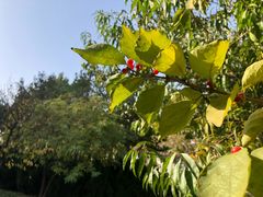 -娜娜家•Nana’Garden (福州道店)