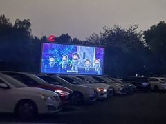 -枫花园汽车电影院(朝阳公园店)
