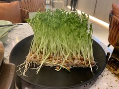 -椰子营·椰子鸡火锅(万象里店)