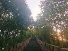 -永康小长城