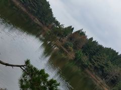 -四明山国家森林公园