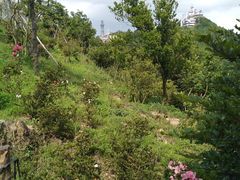 -梧桐山风景名胜区