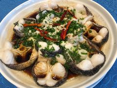 -老淳安—伴山伴湖(千岛湖开元度假村店)