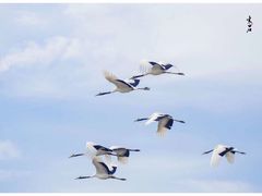 -明月麻辣香锅(昌黎县东大市场店)