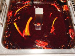 -海底捞火锅(金光华店)