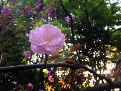 -荆川公园