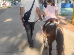 -北戴河集发农业梦想王国