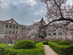 -山东师范大学(千佛山校区)